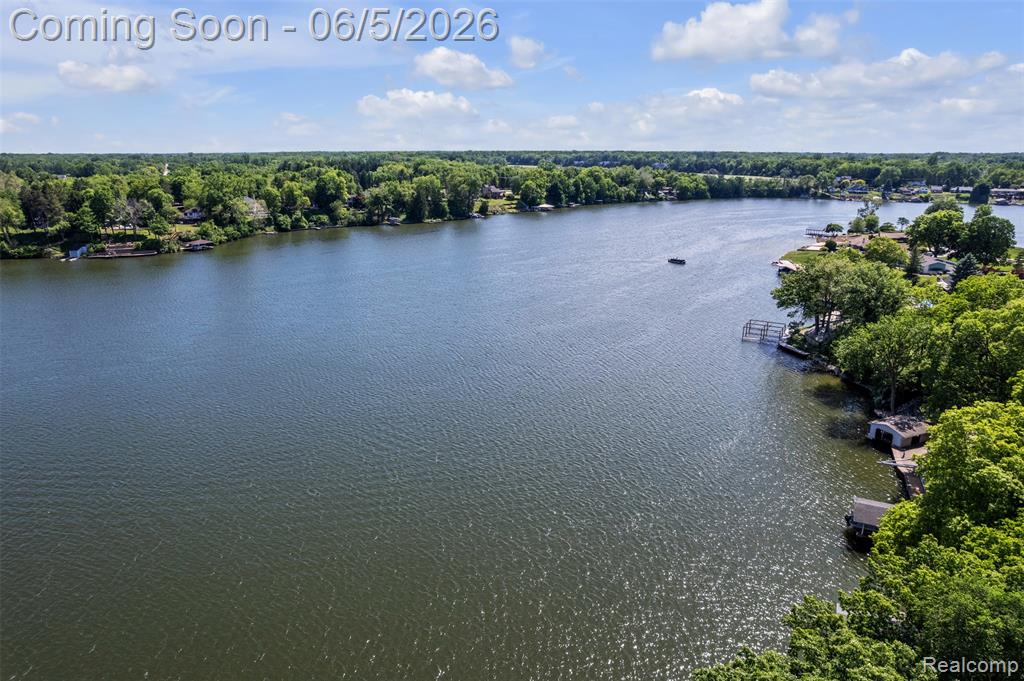 47435 N Shore Drive, Belleville, MI 48111 — Photo 70