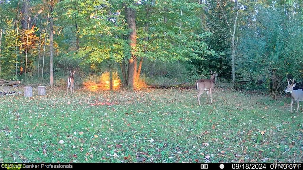 VL Rattle Run Road, St. Clair, MI 48079 — Photo 26