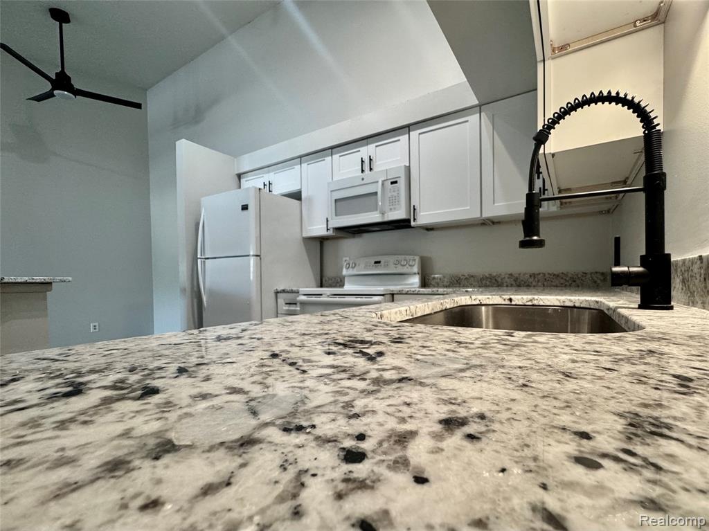 19536 NORTHRIDGE Drive, Northville, MI 48167 — Photo 8