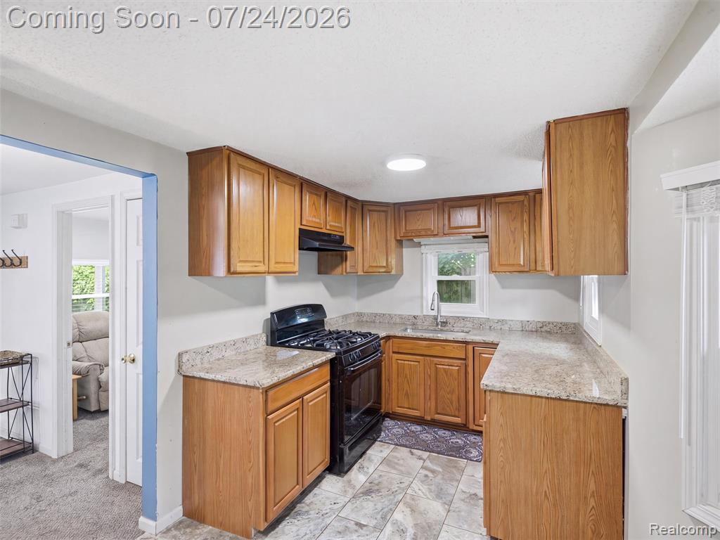 890 E Grand Boulevard, Ypsilanti, MI 48198 — Photo 7