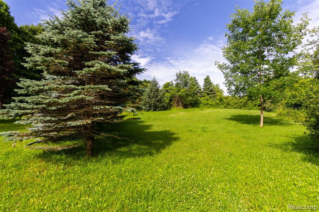 9887 Hadley Road, Clawson, MI 48348 — Photo 37