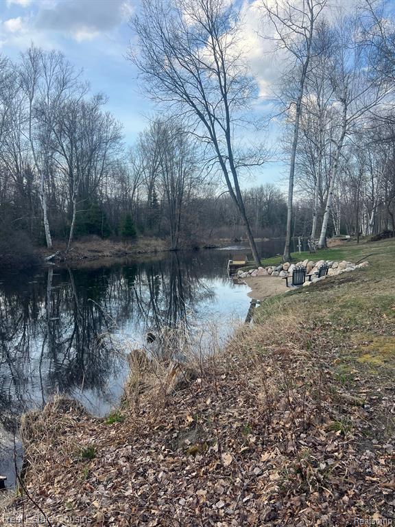 6214 Larch Trail, Lake, MI 48632 — Photo 6