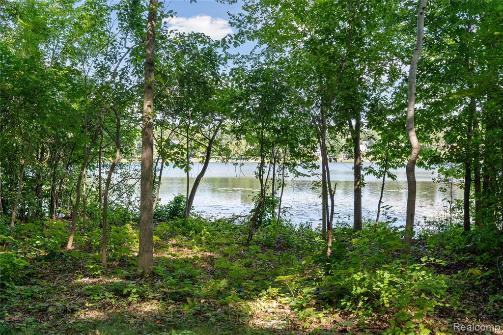 1441 Remsing Street, Hartland, MI 48353 — Photo 50