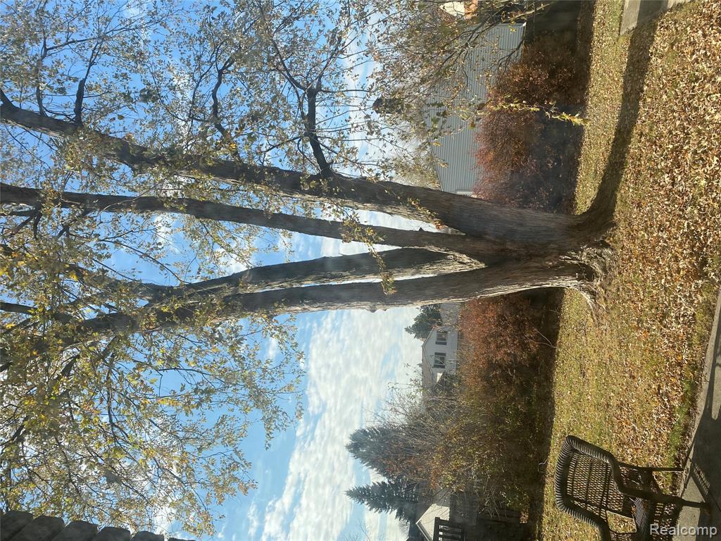 21664 Hall Road, Woodhaven, MI 48183 — Photo 44