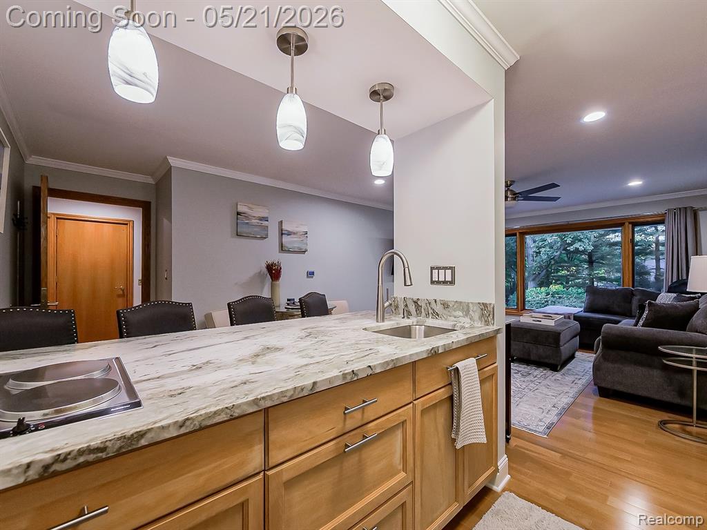 17477 IRIS Circle, Clinton Twp, MI 48036 — Photo 57