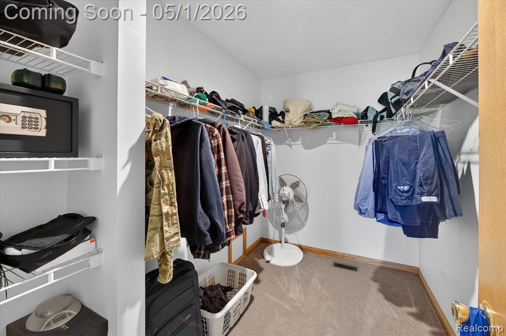 9074 Hamburg Road, Brighton, MI 48116 — Photo 17