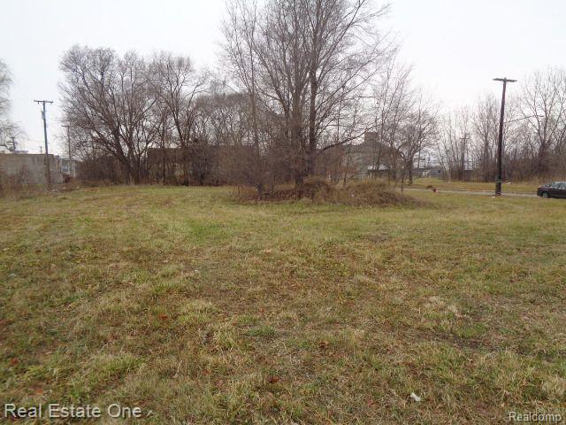 2706 HENDRICKS Street, Detroit, MI 48207 — Photo 9