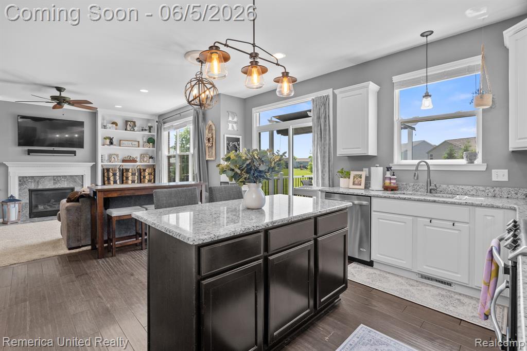 28519 Cottage Lane, New Hudson, MI 48165 — Photo 19