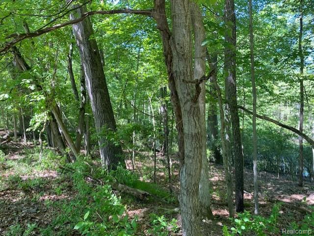Lot 5 Dollar Ridge Lane, South Lyon, MI 48178 — Photo 5