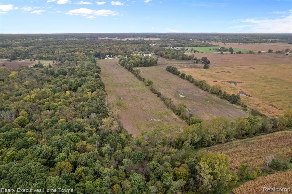 12972 NORMAN Road, Brockway, MI 48097 — Photo 8