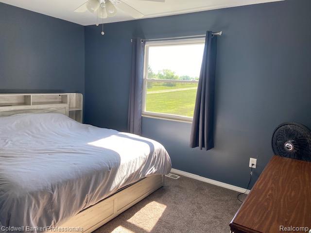 4615 Five Lakes Road, North Branch, MI 48461 — Photo 14