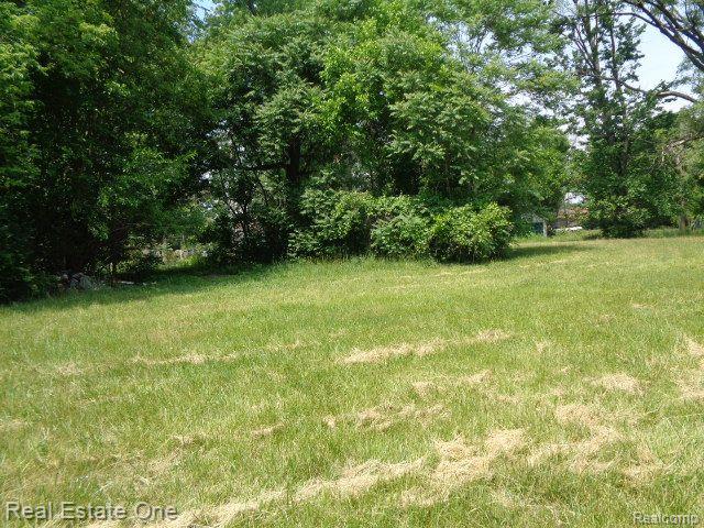 14605 DACOSTA Street, Detroit, MI 48223 — Photo 6