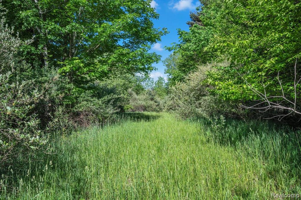 6250 Stine Road, Imlay City, MI 48444 — Photo 55