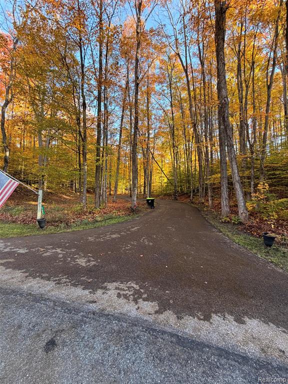 6788 E Hoxie Road, Cedar, MI 49621 — Photo 57