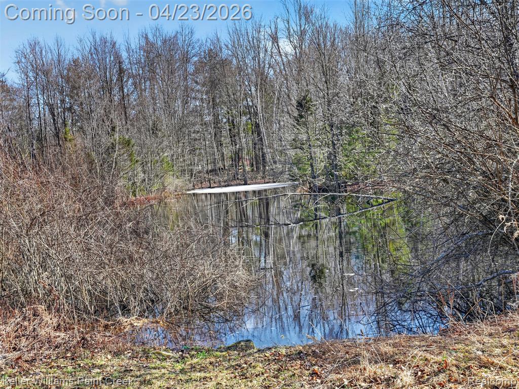 2800 Arrowhead Trail, Glennie, MI 48737 — Photo 38