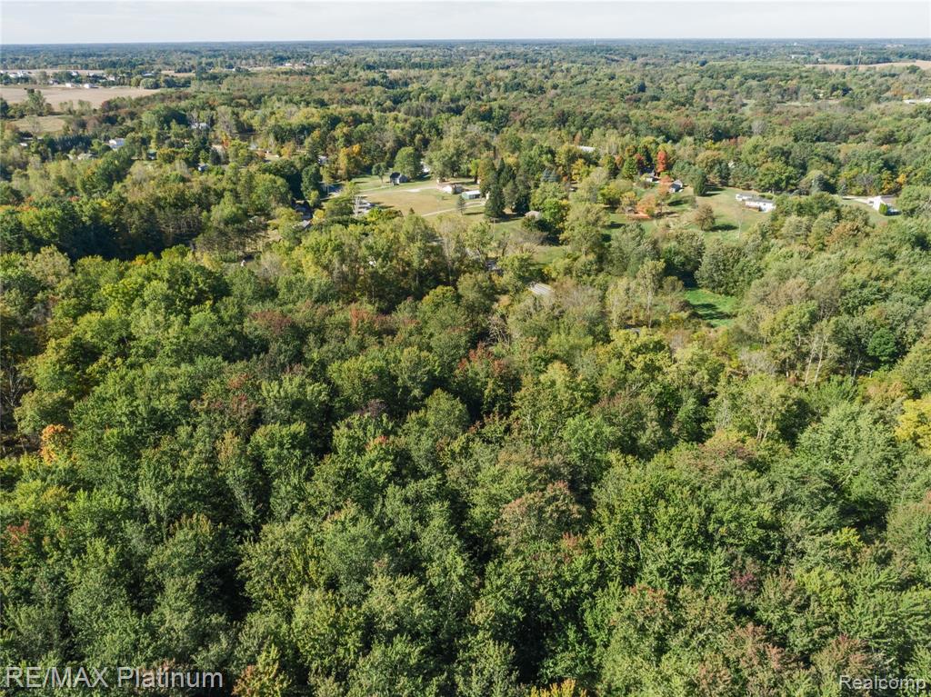 South of 12111 Linden Rd Linden Road, Linden, MI 48451 — Photo 8