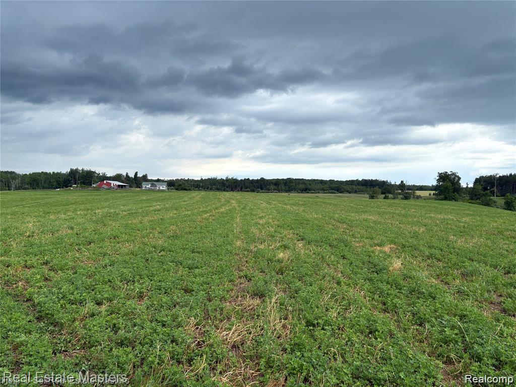 300 W Hubert Road, Spruce, MI — Photo 12