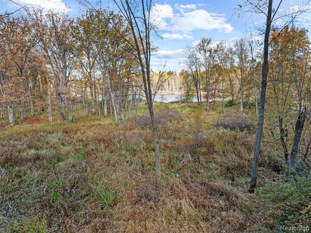 12266 Lillie Road, Byron, MI 48418 — Photo 37