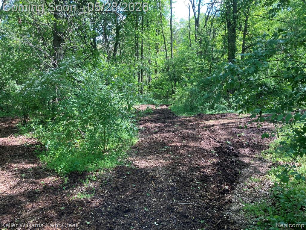42891 Bemis Road, Sumpter, MI 48111 — Photo 37