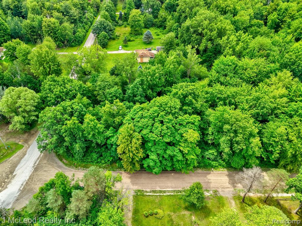 VL N Lewis Road, Clio, MI 48420 — Photo 7