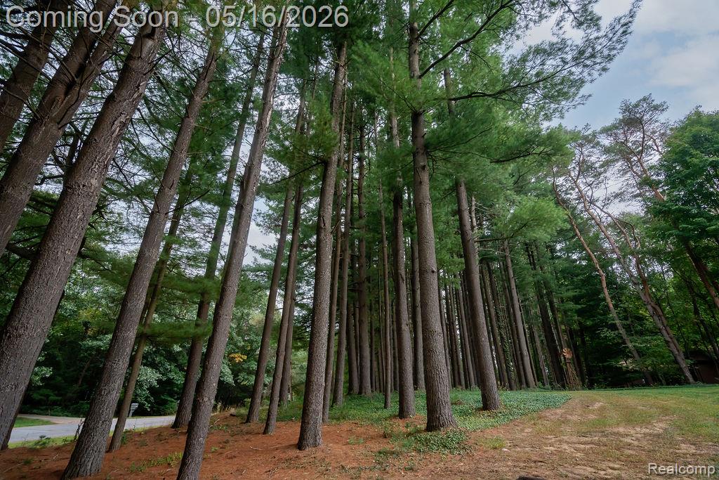 9256 Pine Hill Trail, Fenton, MI 48430 — Photo 64