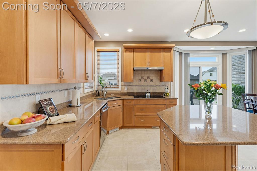 43376 Chester Drive, Sterling Heights, MI 48314 — Photo 21