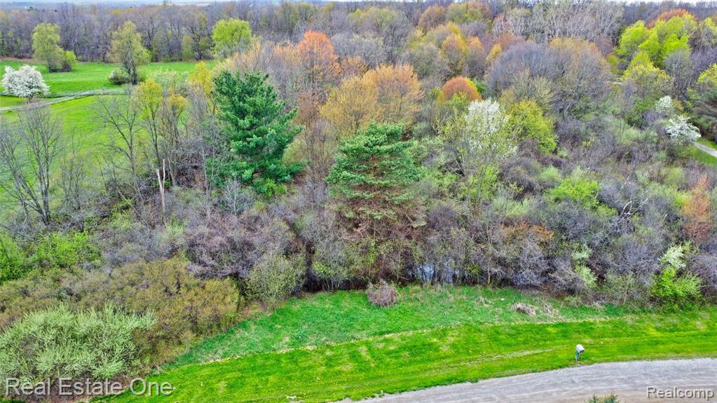 590 Judi Ann Lane, Holly, MI 48442 — Photo 5