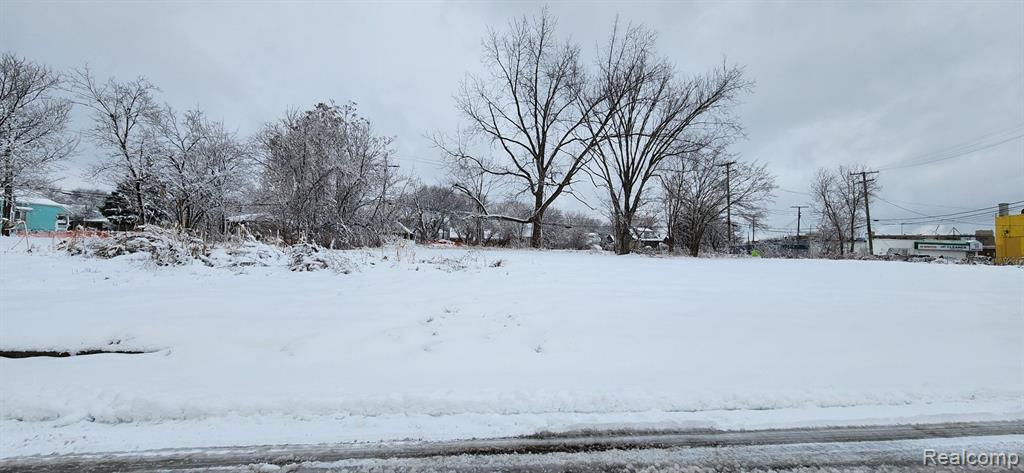 14405 MANNING Street, Detroit, MI 48205 — Photo 6