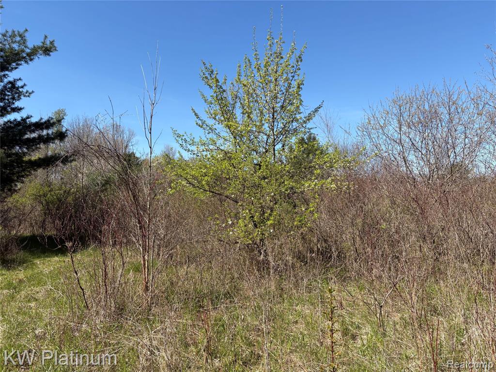 Parcel C Wicha Drive, Burtchville, MI 48059 — Photo 13