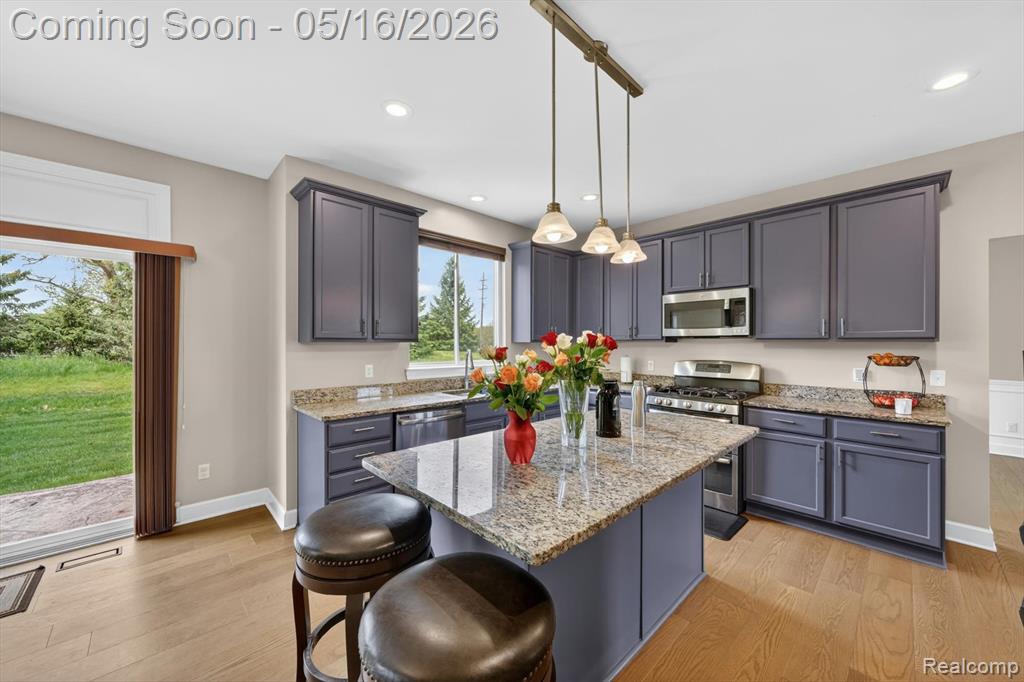 54908 N Grenelefe Circle W, South Lyon, MI 48178 — Photo 9