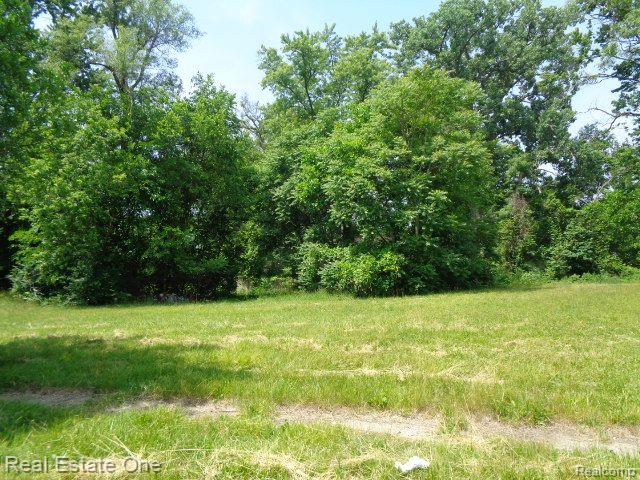 14605 DACOSTA Street, Detroit, MI 48223 — Photo 4