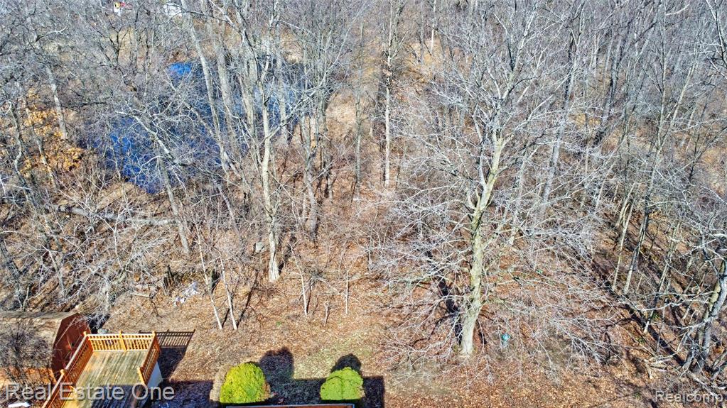 5307 Metamora Road, Metamora, MI 48455 — Photo 61