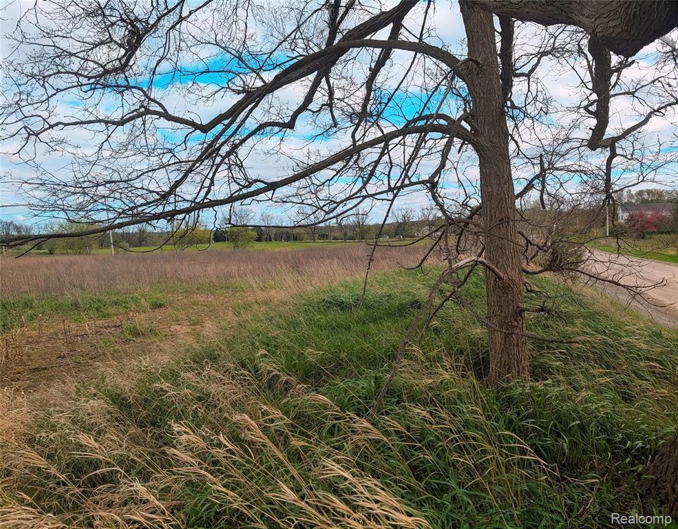 Parcel E Hogan Road, Linden, MI 48451 — Photo 8