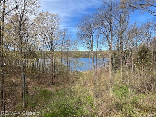 5091 W Kinney Road, Ludington, MI 49431 — Photo 29