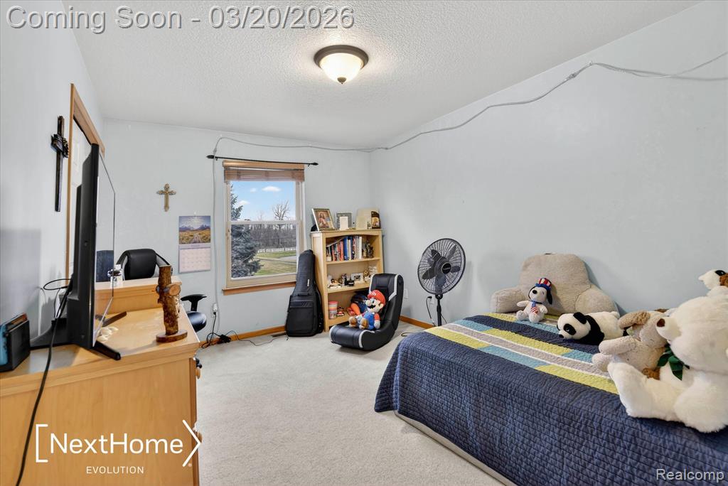 27078 Brookview Court, Flat Rock, MI 48134 — Photo 46