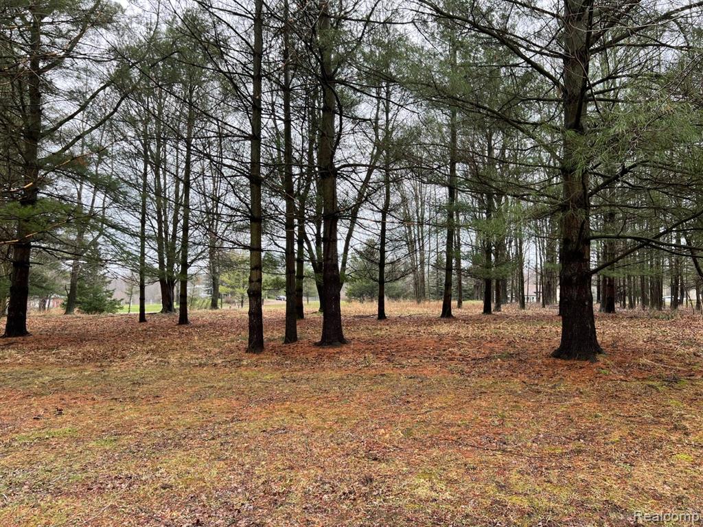 4480 Genesee Road, Lapeer, MI 48446 — Photo 4