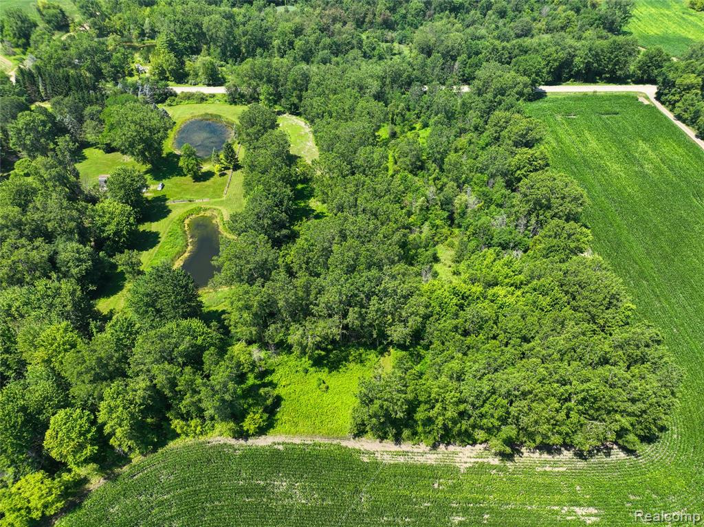 Vacant Land Nicholson Rd, Handy, MI 48836 — Photo 8