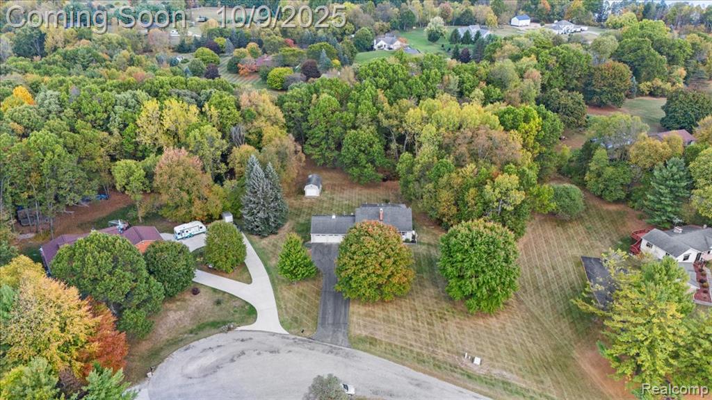 12190 Carriage Trail Circle, Davisburg, MI 48350 — Photo 4