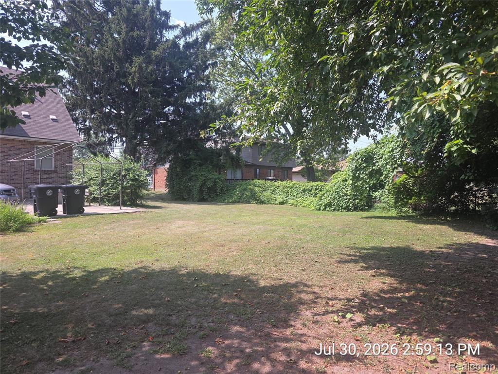 Photo 6