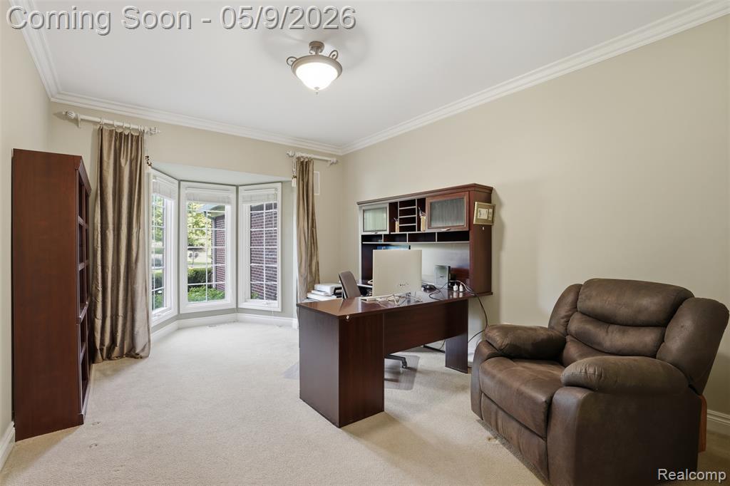 18254 Parkshore Drive, Northville, MI 48168 — Photo 15