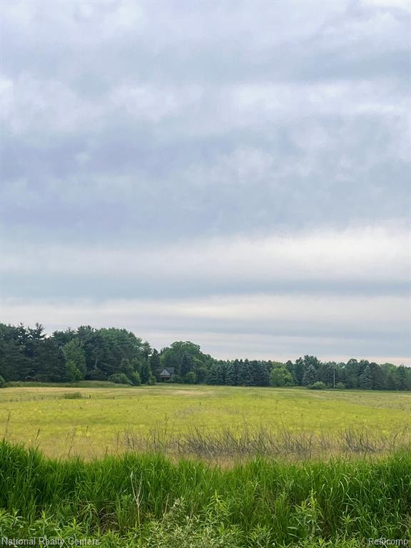 PARCEL G BURT Road, Allenton, MI 48002 — Photo 2