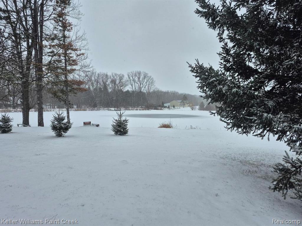 6373 Hall Road, Dryden, MI 48428 — Photo 14