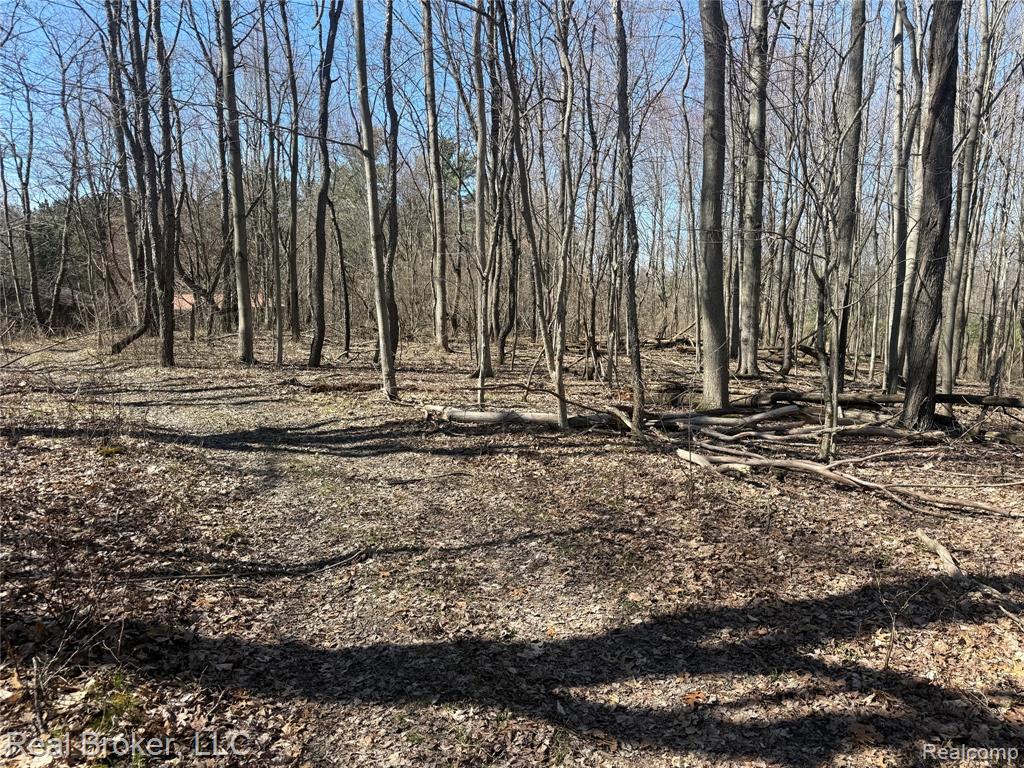 1802 N Elba Road, Lapeer, MI 48446 — Photo 54