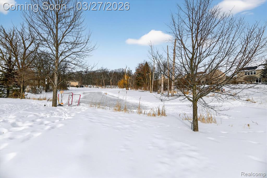 59200 Peters Barn Drive, South Lyon, MI 48178 — Photo 51
