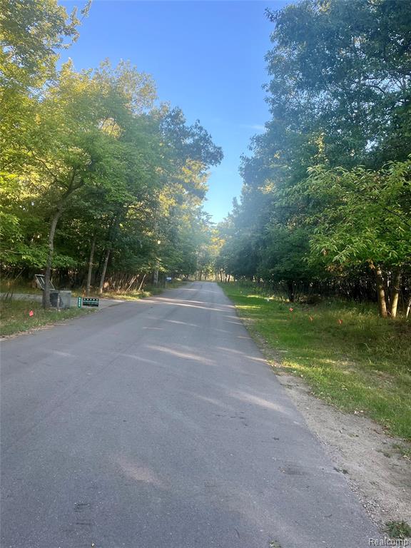 9857 Whispering Pines, MI — Photo 5