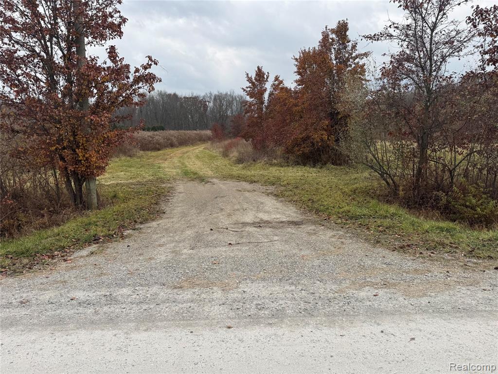 01 Remer Road, China, MI — Photo 13