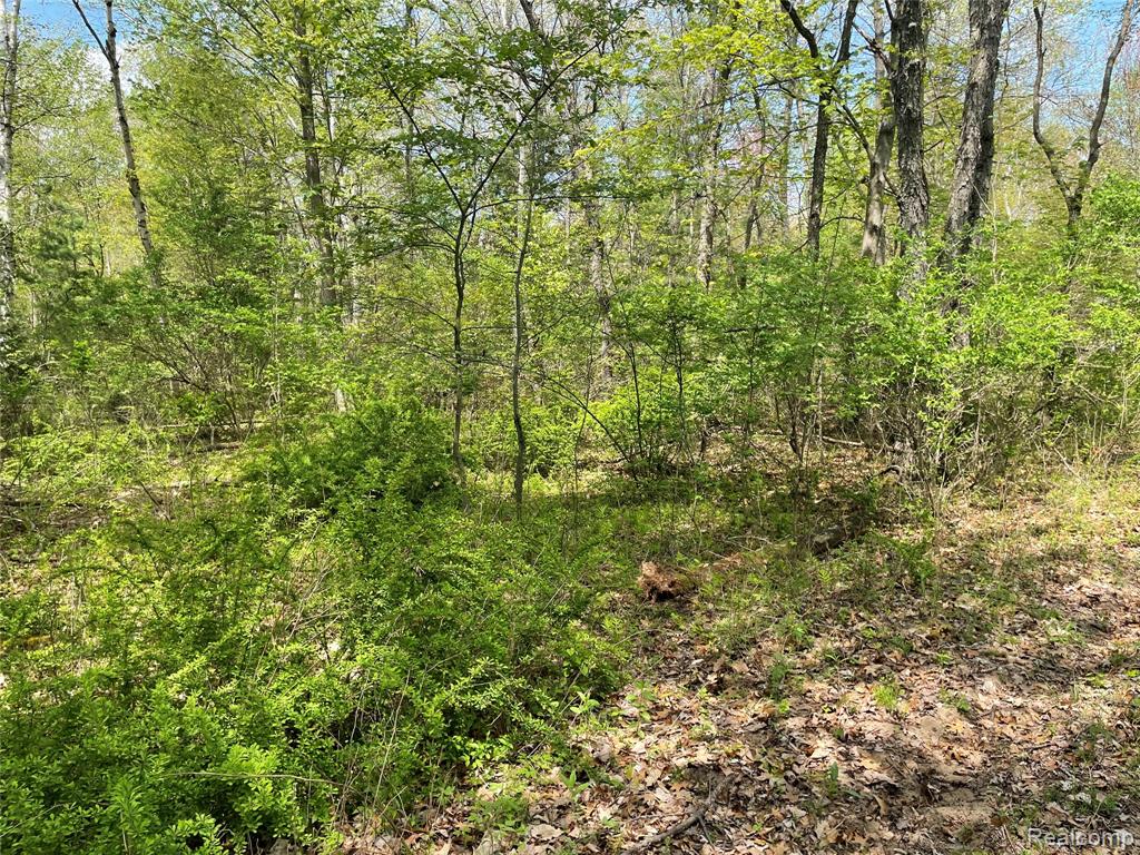 NA Oakridge Drive, Au Gres, MI 48703 — Photo 6