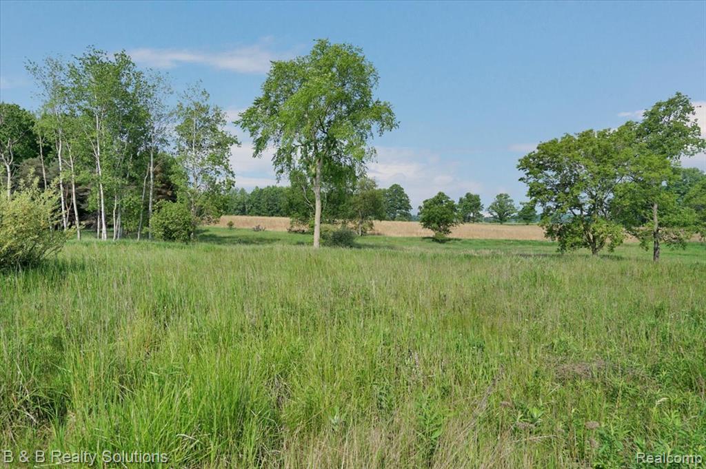 10071 N Hillman Road, Lakeview, MI, 48850