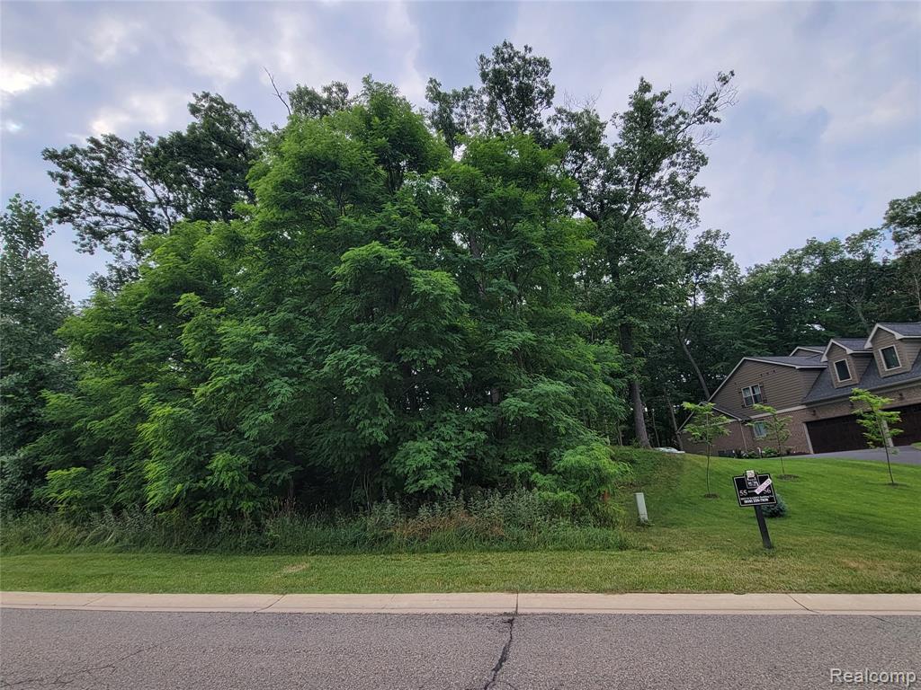 Lot 55 - Wyndam Lane - Photo 3