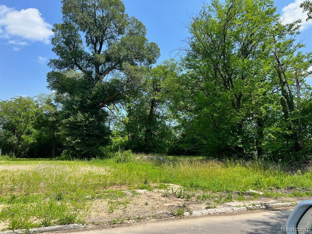 5286 STANTON Street, Detroit, MI 48208 — Photo 3